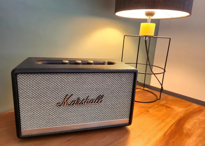 Neuf, Jacuzzi, Piscine Privee Mai-sept, Petanque, Proche Paradiski